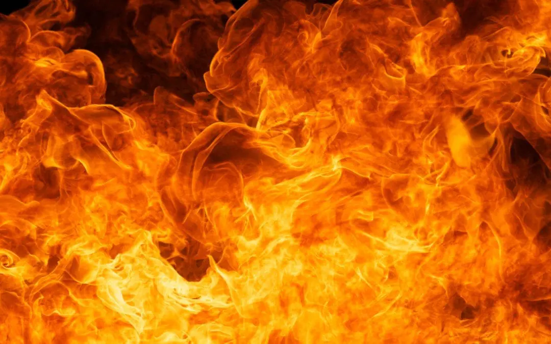 Day 157: Pouring Gasoline On Referrals