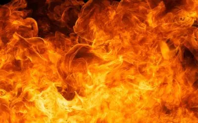 Day 157: Pouring Gasoline On Referrals