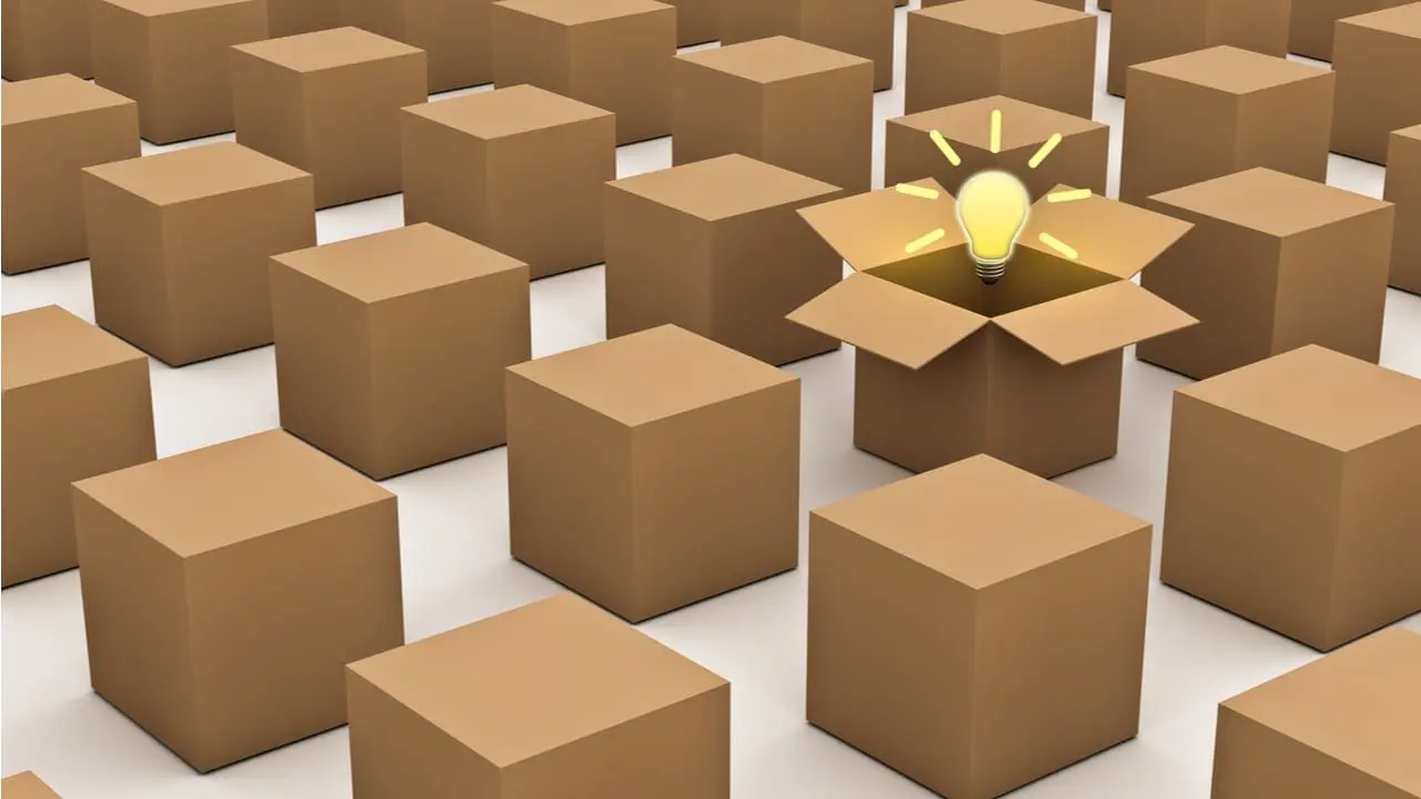 Day 169 A 1400% Increase Day 169 A 1400% Increase