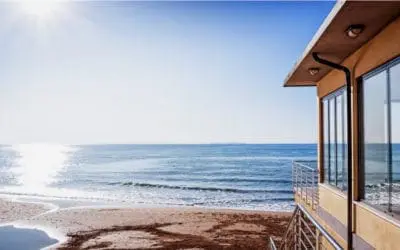 One Thing: Day 185: Your Greatest Successes