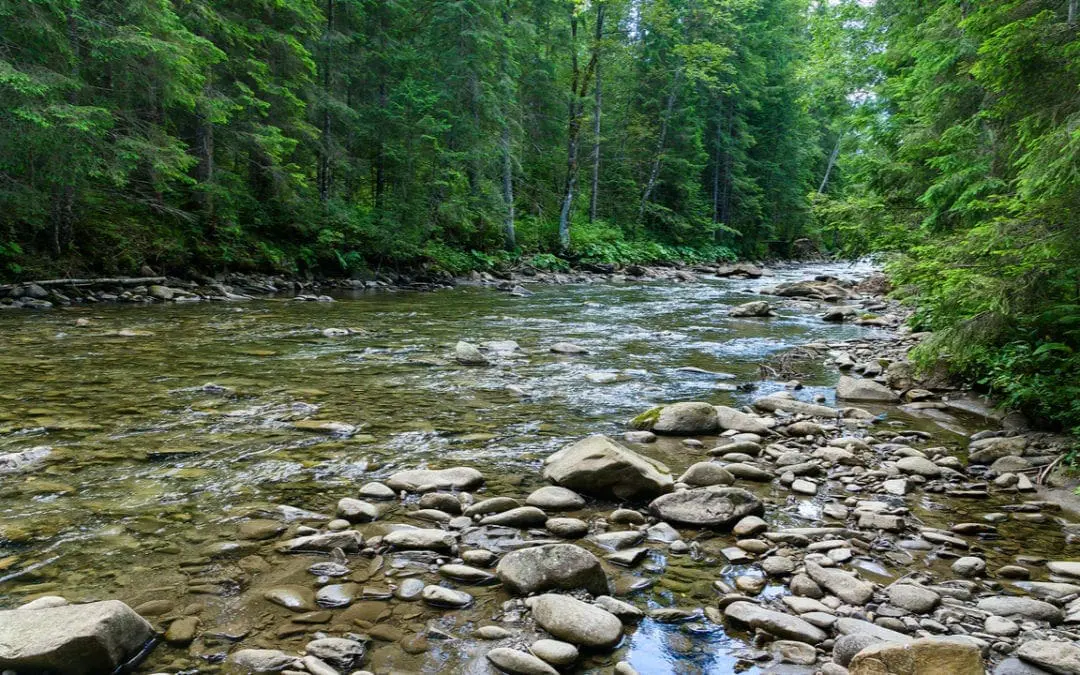 One Thing: Day 199: Do Anything