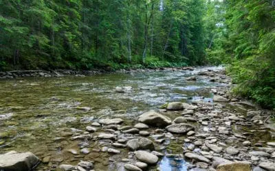 One Thing: Day 199: Do Anything