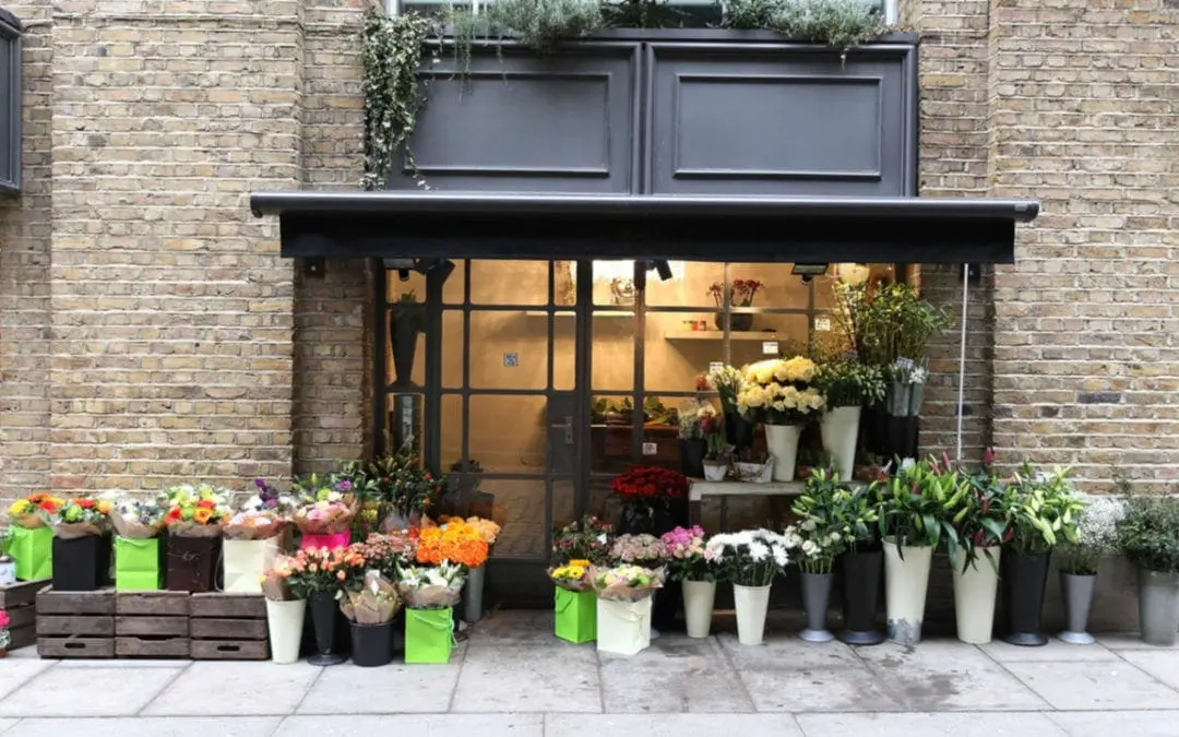 One Thing: Day 203: My 2020 Research and Trends