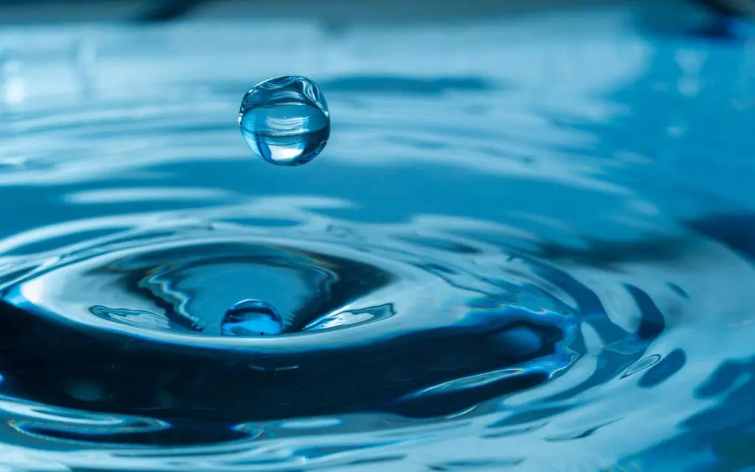 One Thing: Day 237: Communism, Just Add Water