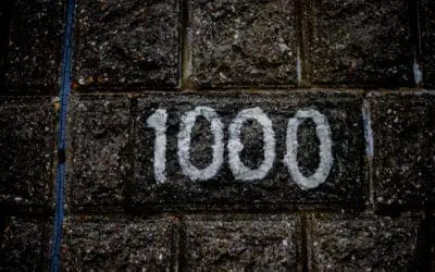 One Thing: Day 262: A Con Man