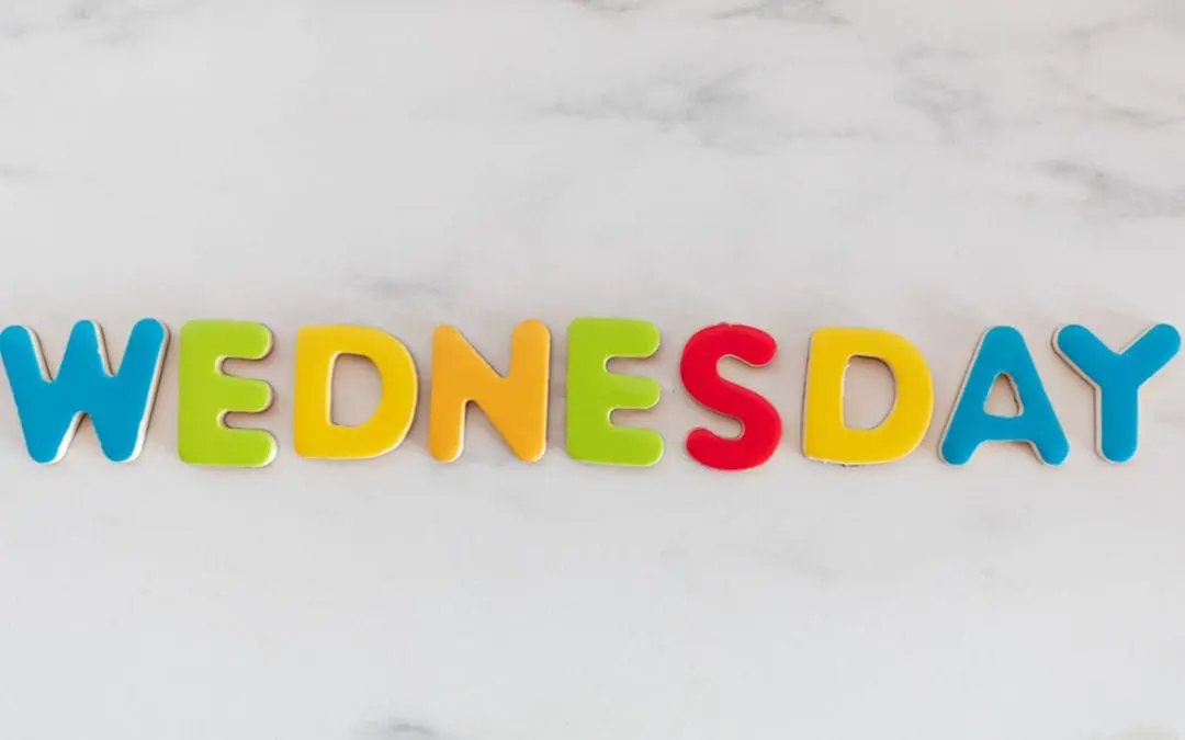 One Thing: Day 278: Political Parties