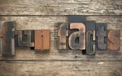 One Thing: Day 293: 22 Fun Facts