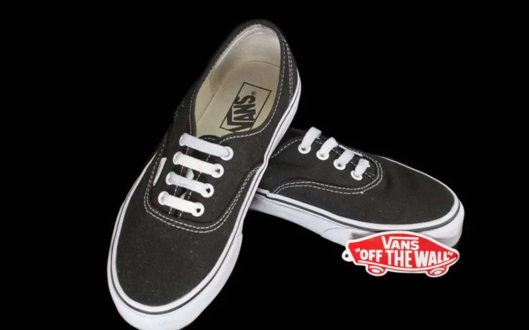 One Thing: Day 305: Vans Shoes