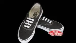 One Thing: Day 305: Vans Shoes