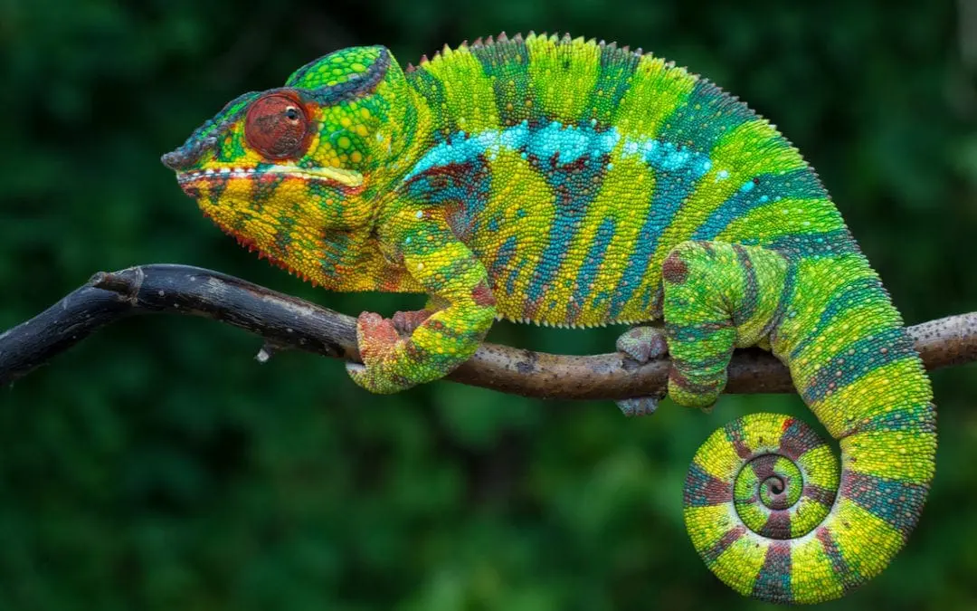 One Thing: Day 309: A VERY Special Woman