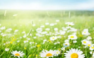 One Thing: Day 331: Pics of Momma