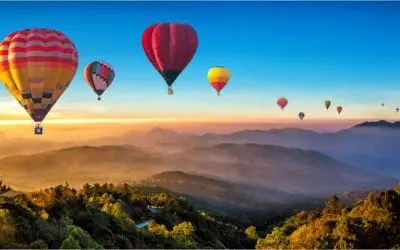 One Thing: Day 338: Momma’s Eulogy / A Dreamy Business