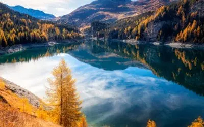 One Thing: Day 342: Undercover Billionaire