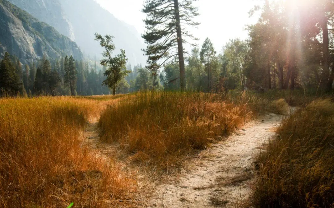 One Thing: Day 343: Dr Fauci