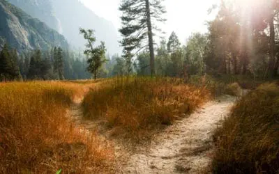 One Thing: Day 343: Dr Fauci