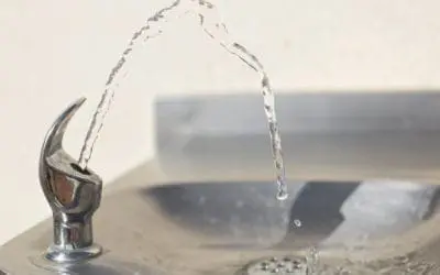 One Thing: Day 355: Because…