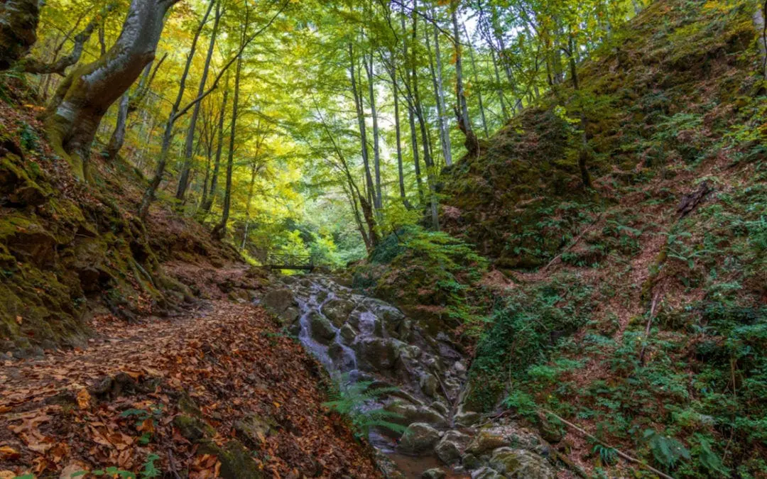 One Thing: Day 358: Remarkable