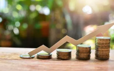 One Thing: Day 368: “Size”