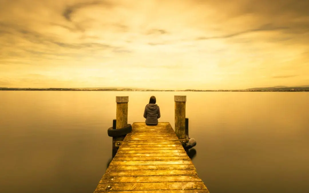 One Thing: Day 377: Self Reflection / Self Preservation