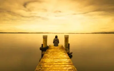 One Thing: Day 377: Self Reflection / Self Preservation