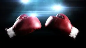 One Thing: Day 378: Jake Paul Boxing Match