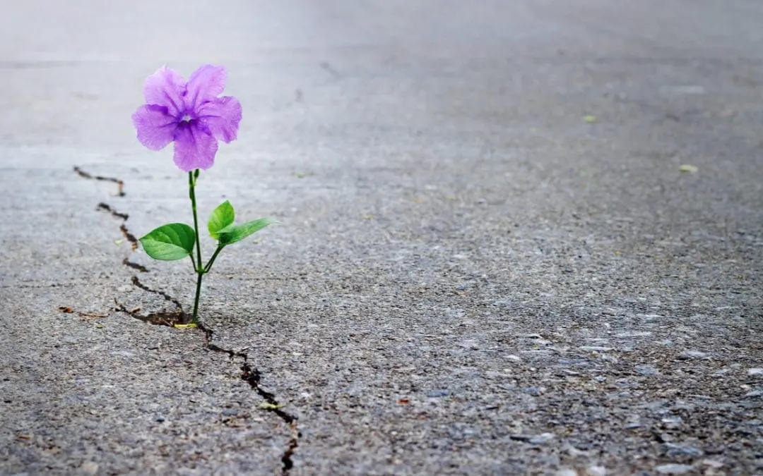 One Thing: Day 387: Your REAL Problem