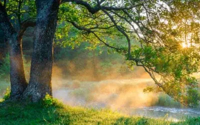 One Thing: Day 392: Avoiding “The Secret”