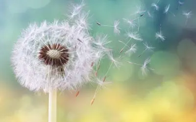 One Thing: Day 396: 11 Life-Changing Words