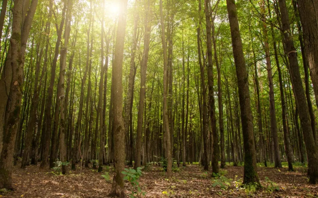 One Thing: Day 398: 10 Painful Truths