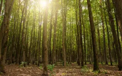 One Thing: Day 398: 10 Painful Truths