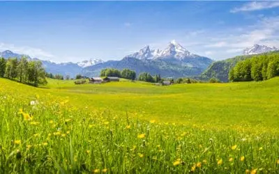 One Thing: Day 408: The Cobra Effect