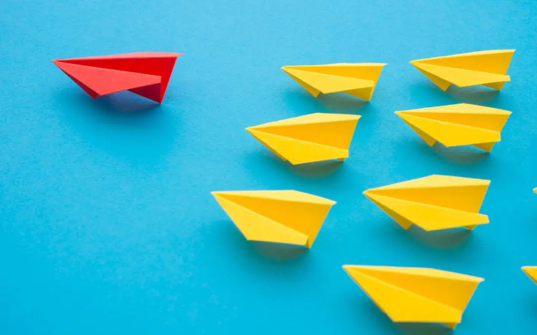 One Thing: Day  412: Broco Lee