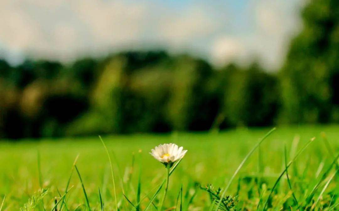 One Thing: Day 413: Simple and Easy