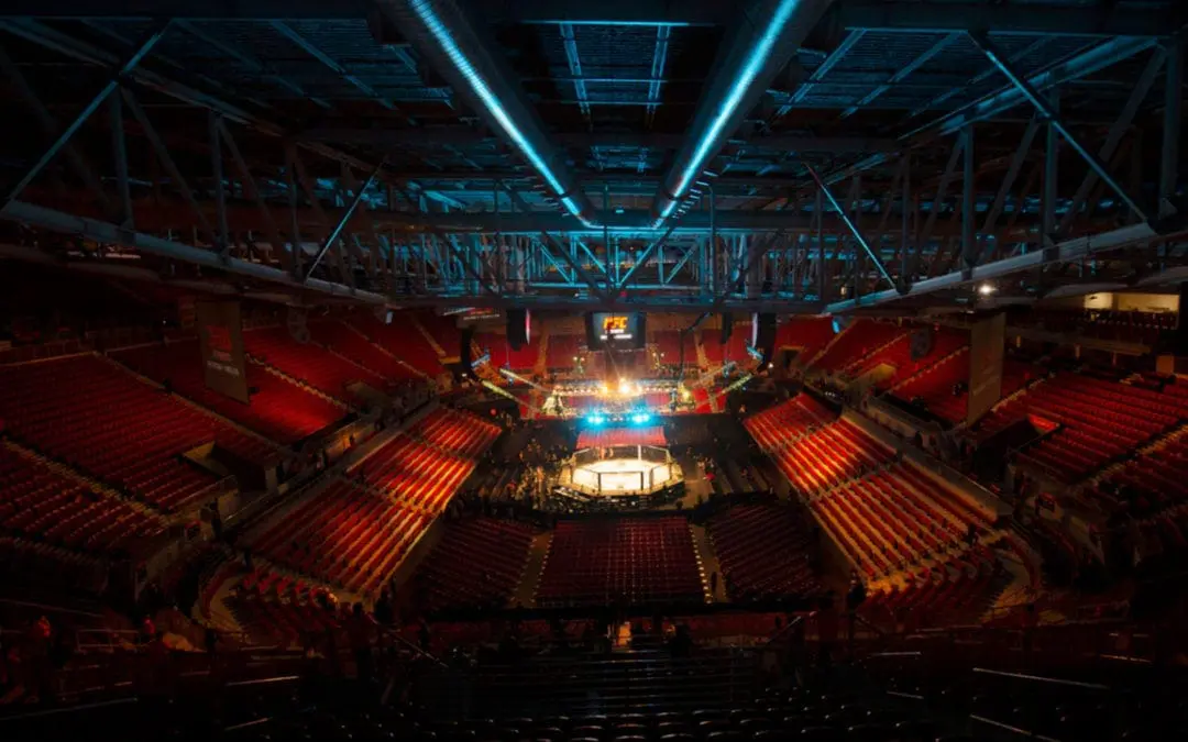 One Thing: Day 426: Conor McGregor Fight