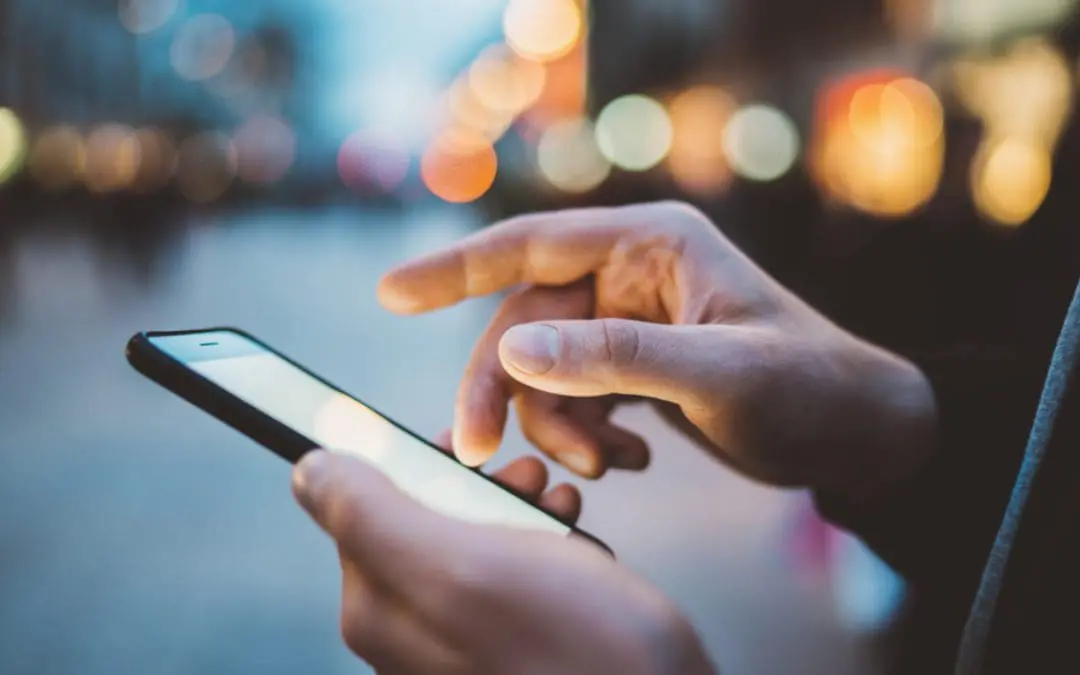 One Thing: Day 434: Contrast. Value. Subjective.