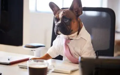 One Thing: Day 472: Free Coffee and Dogs