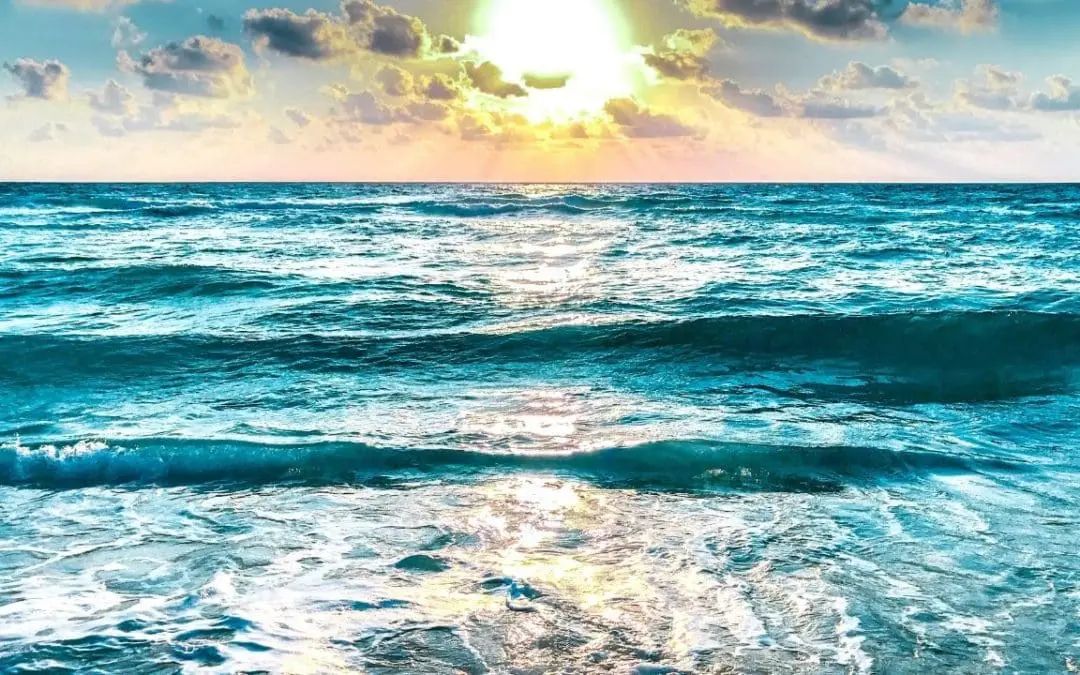 One Thing: Day 483: Cancun. Stupidity. Vacations.