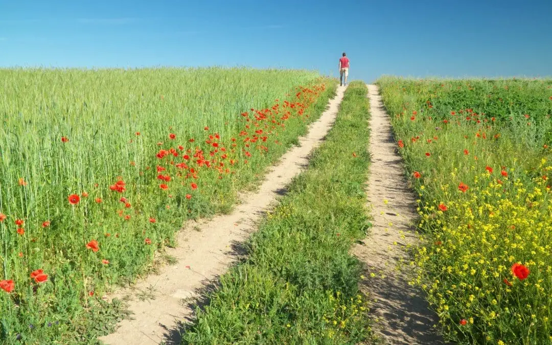 One Thing: Day 491: Death. Diet. Spiritual.