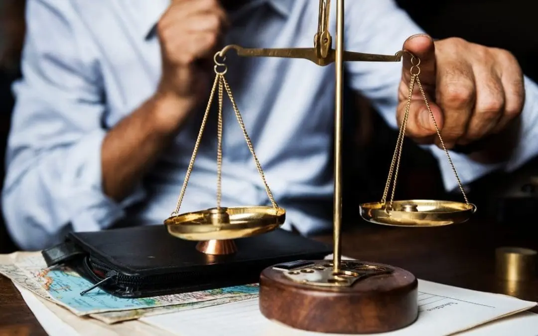 One Thing: Day 492: Sperm. Egg. Scale.