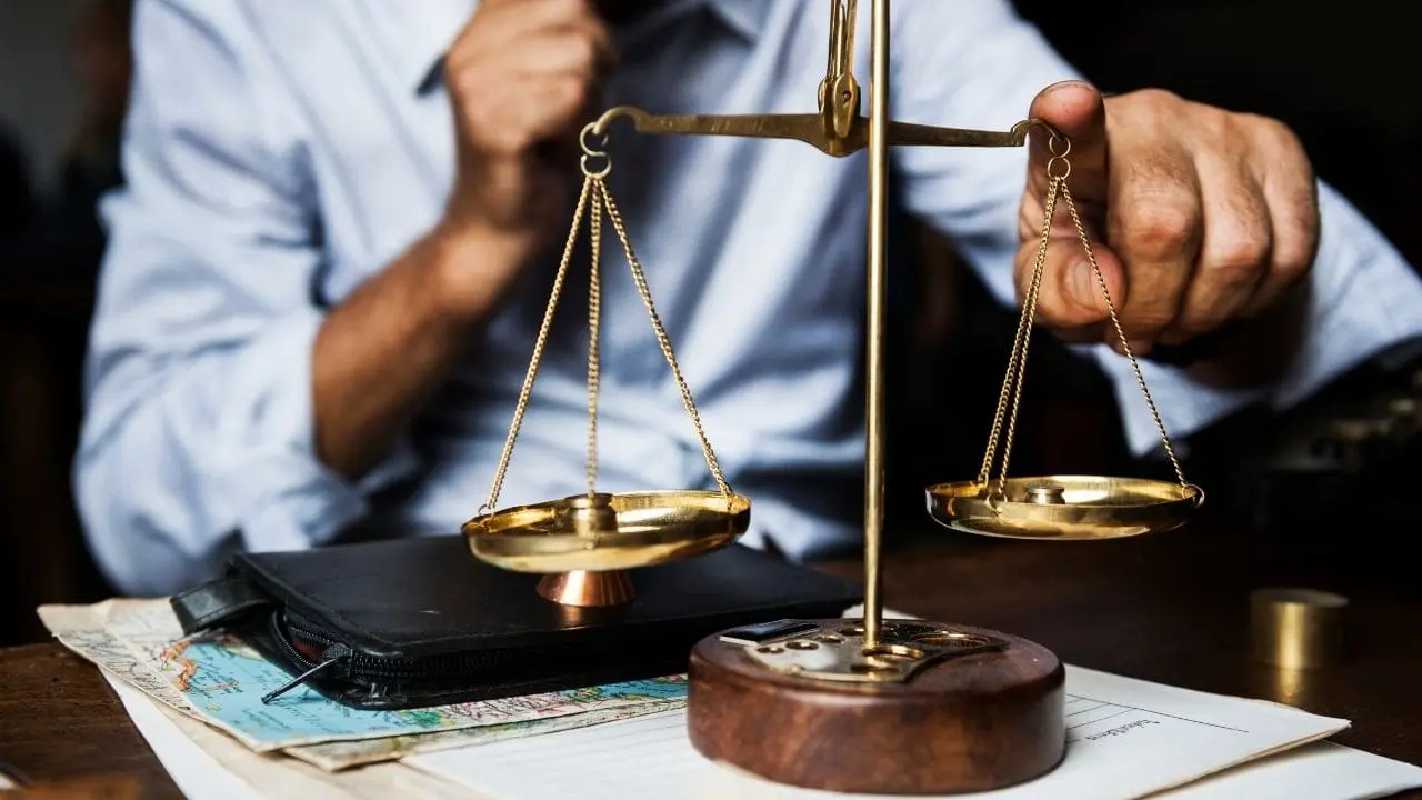 One Thing: Day 492: Sperm. Egg. Scale.