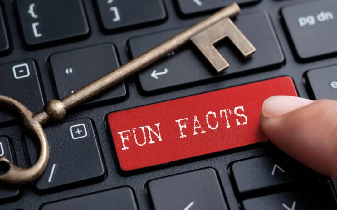 One Thing: Day 500: 10 Fun Facts