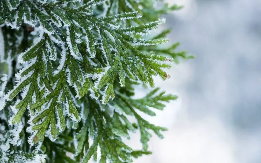 One Thing: Day 526: Hustle or Turn Off?