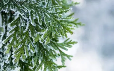 One Thing: Day 526: Hustle or Turn Off?