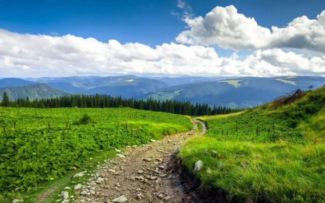 One Thing: Day 533: Elizabeth Warren / Leonardo / Michael Moore