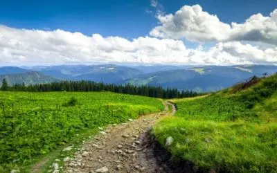 One Thing: Day 533: Elizabeth Warren / Leonardo / Michael Moore