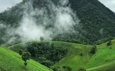 One Thing: Day 543: My Dad