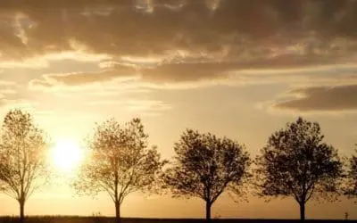 One Thing: Day 545: Alignment