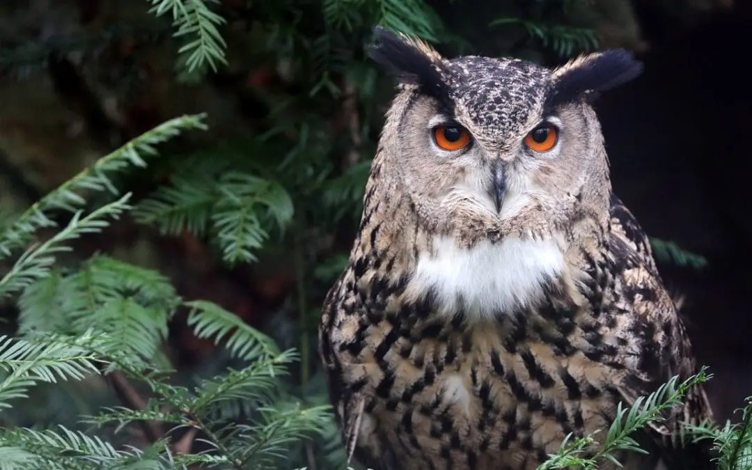 One Thing: Day 552: Who