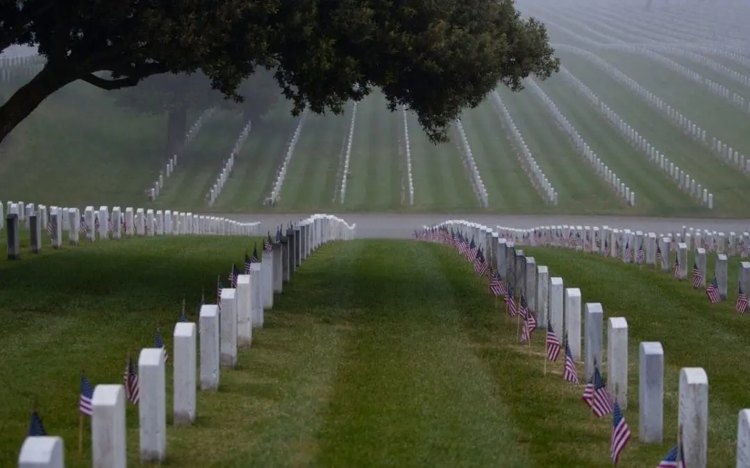 One Thing: Day 614: Those Who Never Came Home