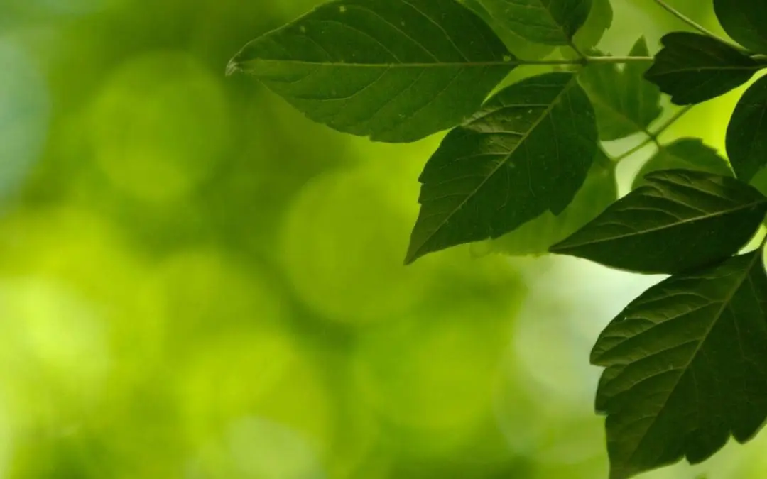 One Thing: Day 631: Simple. Obvious. Genius.